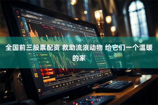 全国前三股票配资 救助流浪动物 给它们一个温暖的家