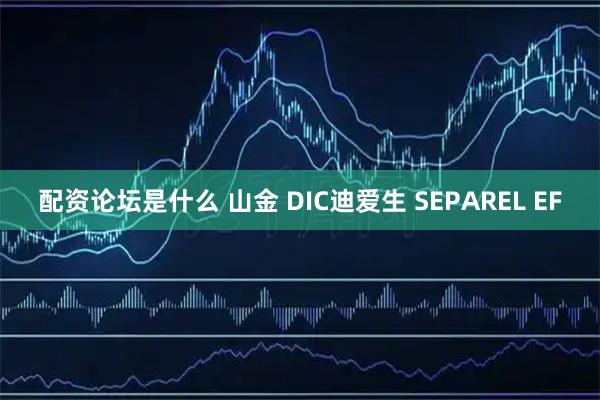 配资论坛是什么 山金 DIC迪爱生 SEPAREL EF